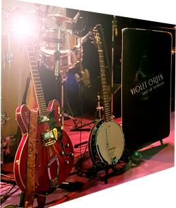 Violet Green at Skottvångs Grufva